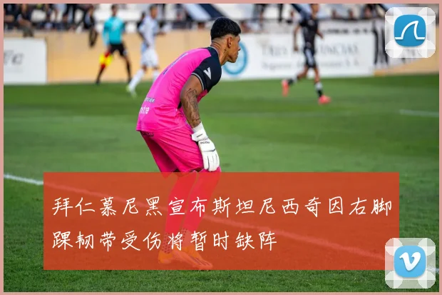 拜仁慕尼黑宣布斯坦尼西奇因右脚踝韧带受伤将暂时缺阵