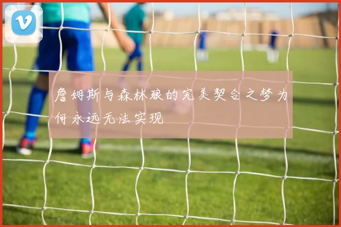詹姆斯与森林狼的完美契合之梦为何永远无法实现